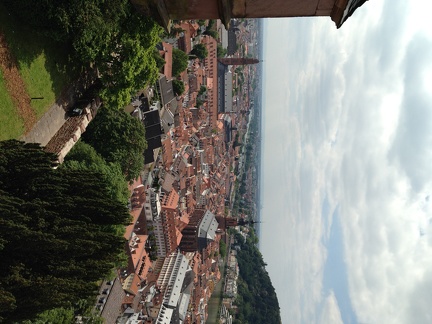 Heidelberg View from Schloss1